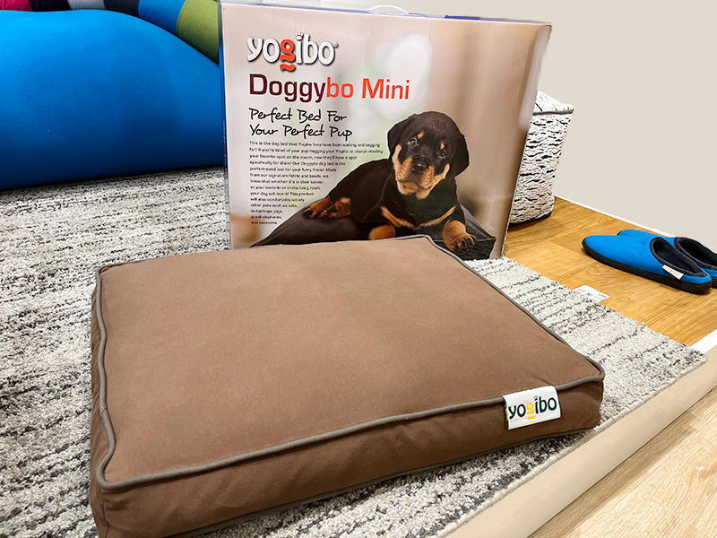 犬専用ベッド「Doggybo（ドギボー）」